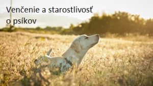 Venčenie a starostlivosť o psíkov